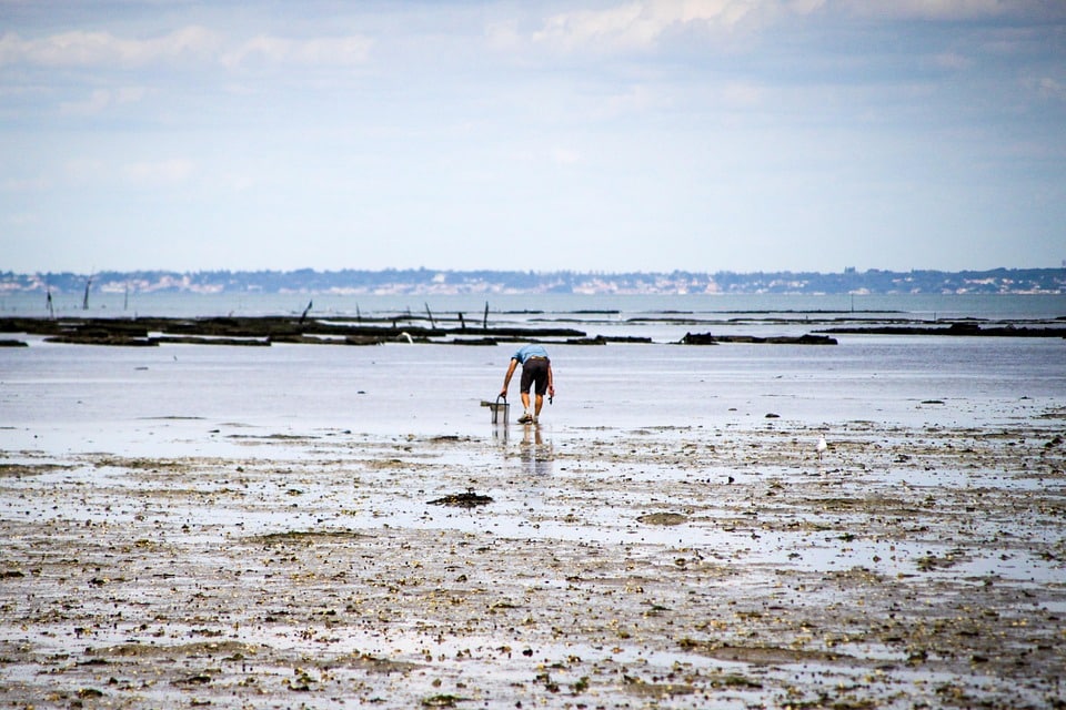 Pêche à pied responsable